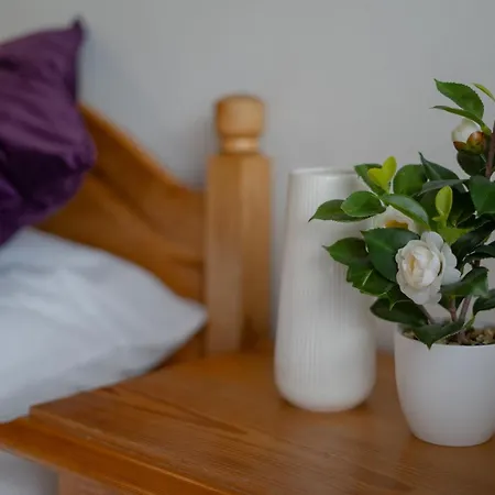 S.a.w. * Schiefling am See