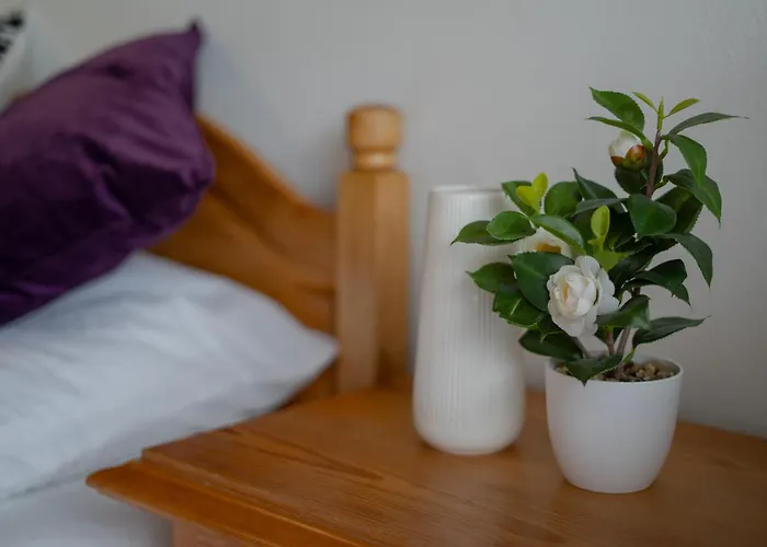 S.a.w. * Schiefling am See